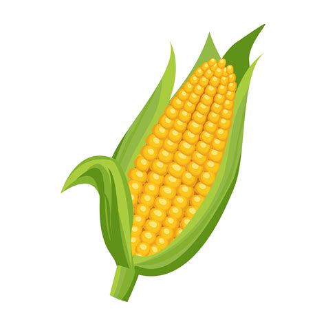 cartoon corn